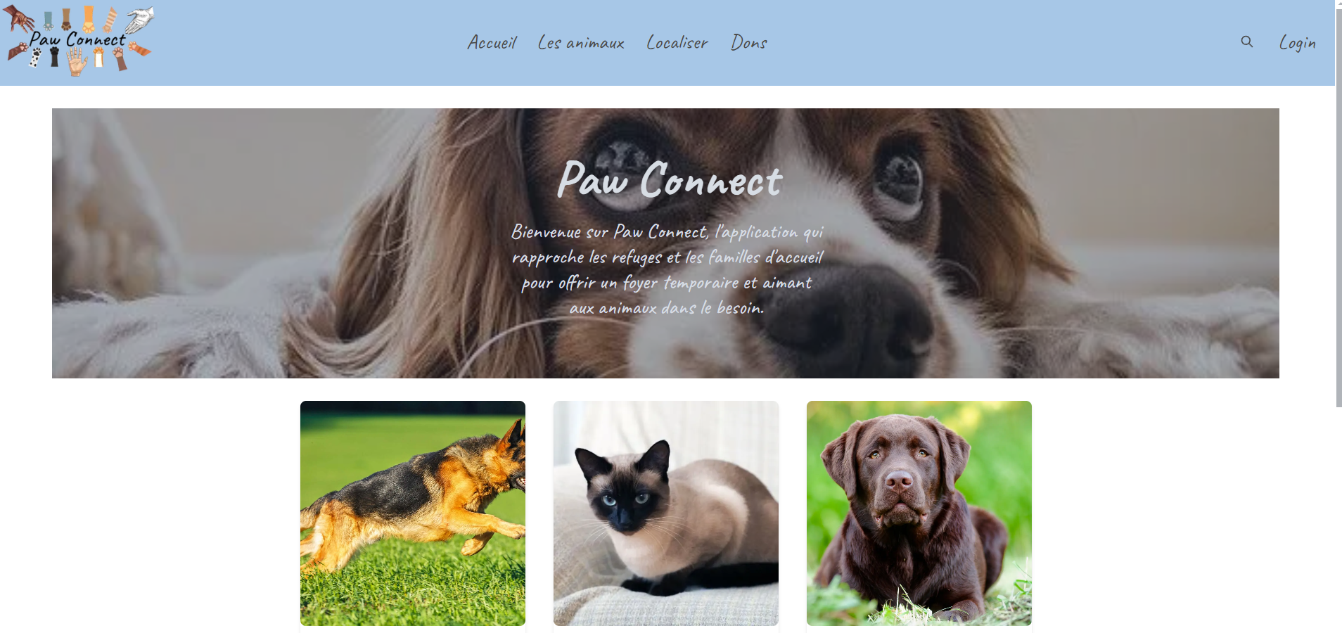 Plateforme Paw Connect pour propriétaires d'animaux